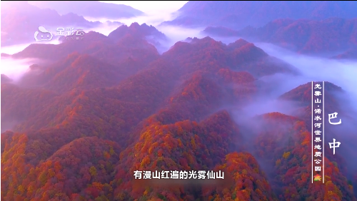 四川巴中文旅康養(yǎng)推介走進金華